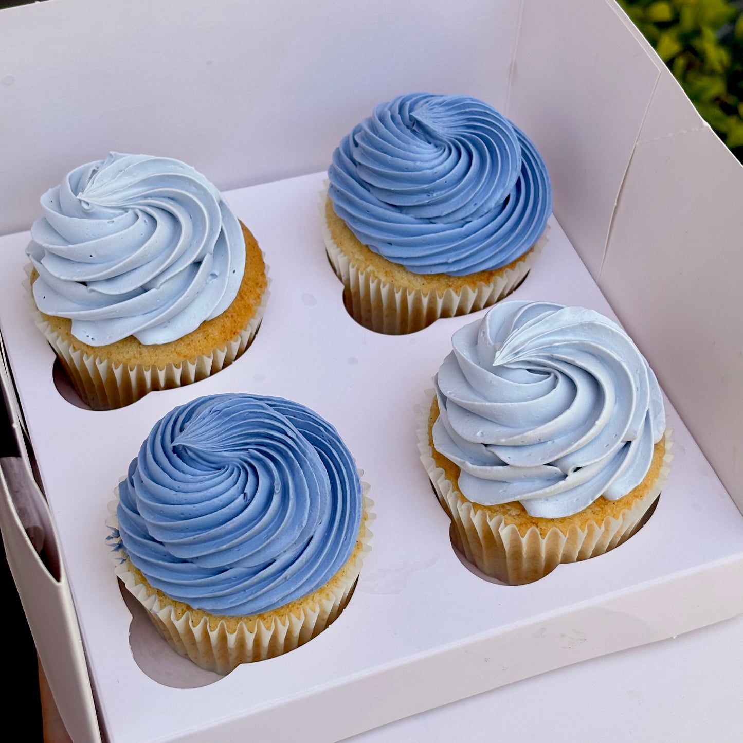 Simple Swirly Cupcakes