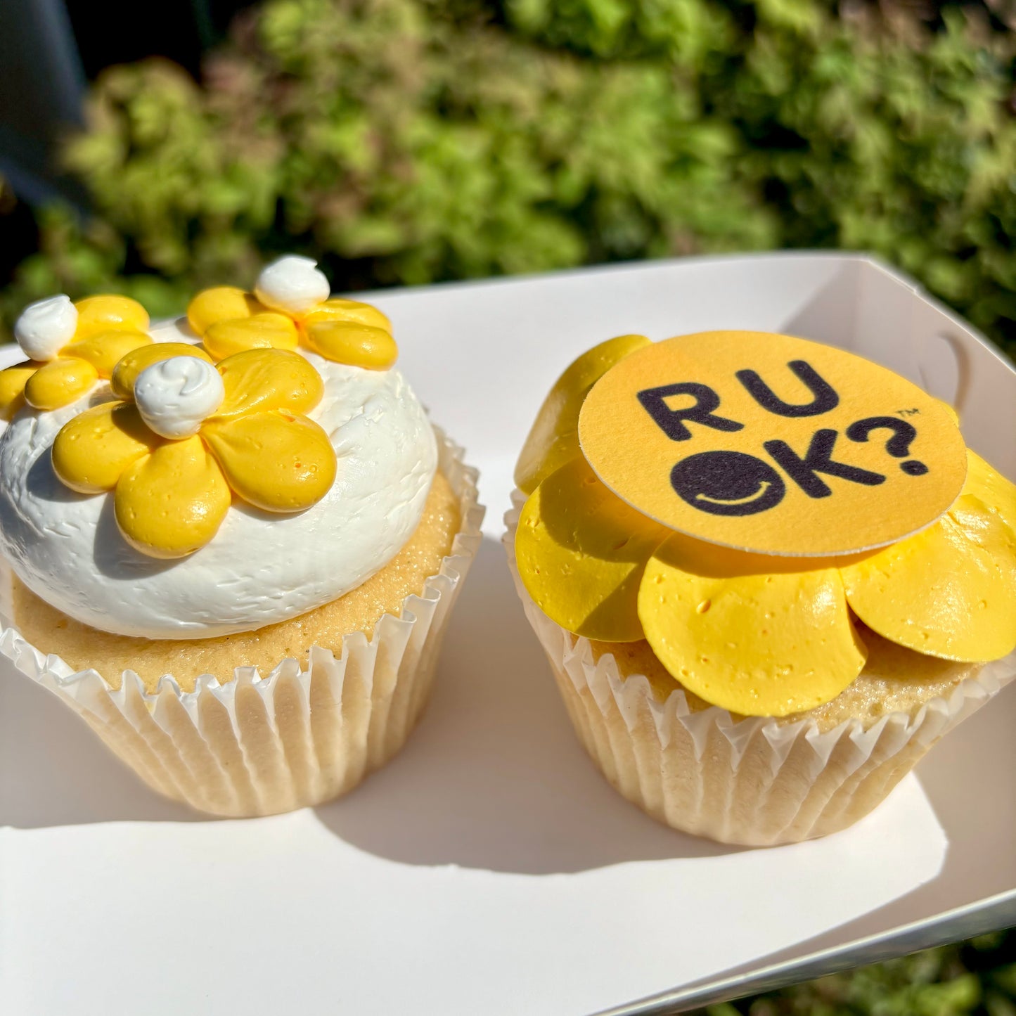 R U OK? Cupcakes